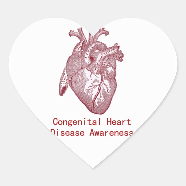 Adesivo Coração Vinheta de consciência CHD (Frente)