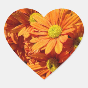 Adesivo Coração Vinheta de cor floral laranja