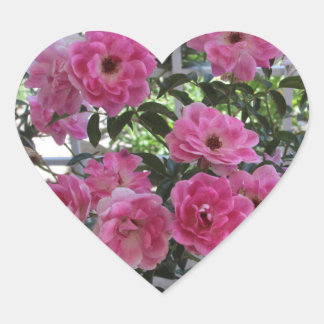 Adesivo Coração Vinheta de Rosas Rosa de Jardim