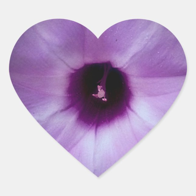 Adesivo Coração Vinheta Onde Plantado (Frente)