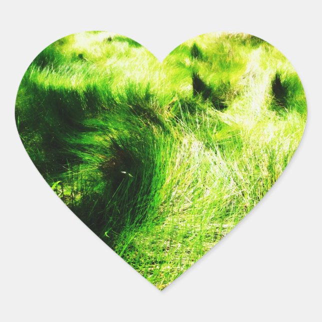 Adesivo Coração Vinheta verde (Frente)