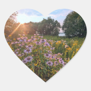 Adesivo Coração Vinhetas