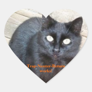 Adesivo Coração Vinhetas cardíacas de retorno