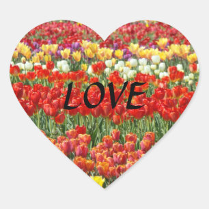 Adesivo Coração Vinhetas de AMOR com forma cardíaca Tulipas Vermel