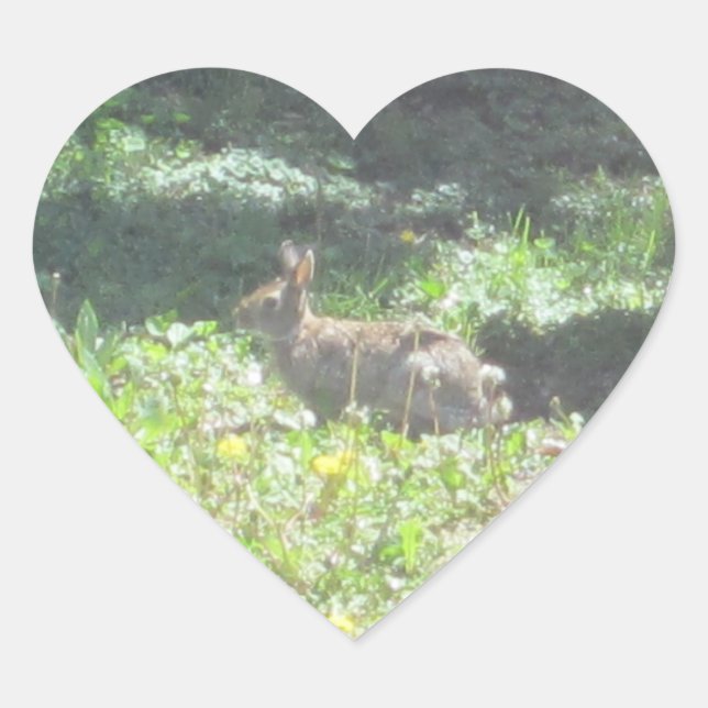 Adesivo Coração Vinhetas de coelho selvagem - Folha de 20 (Frente)