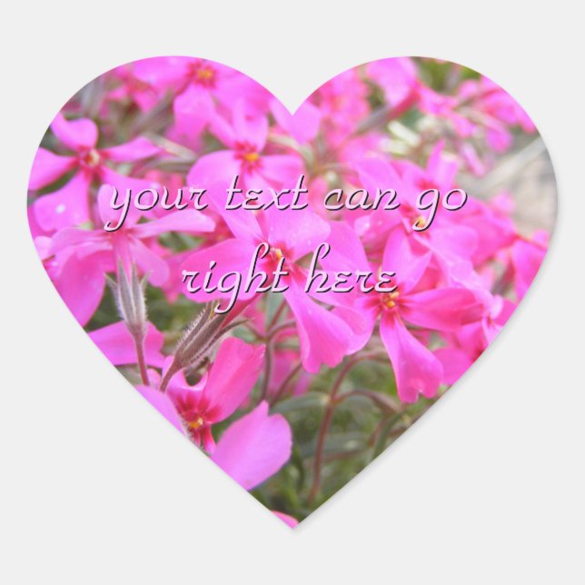 Adesivo Coração Vinhetas de Flores de Phlox Rosa (Frente)