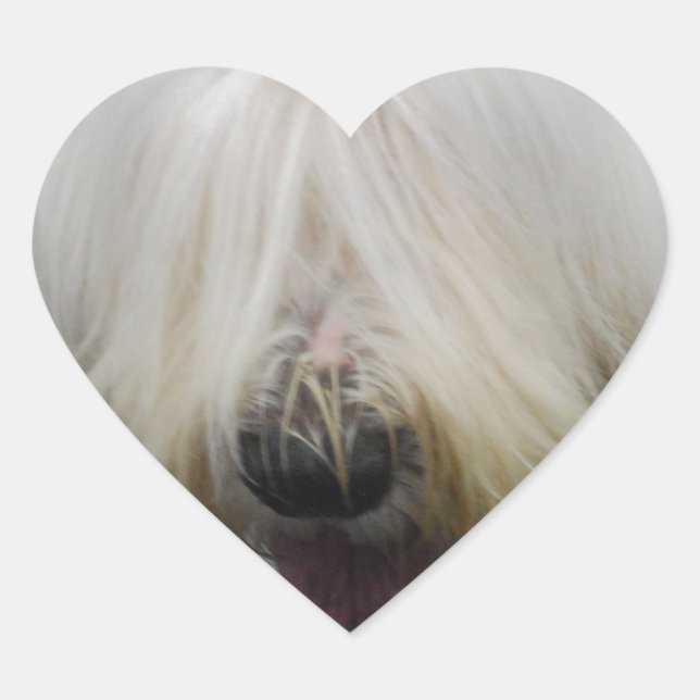 Adesivo Coração Vinhetas de Sheepdog em Inglês (Frente)