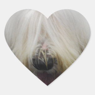 Adesivo Coração Vinhetas de Sheepdog em Inglês