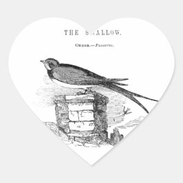 Adesivo Coração Vintage swallow bird