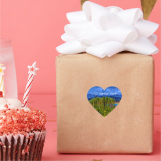 Adesivo Coração Winter Park Heart Sticker