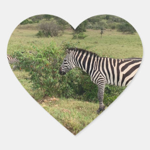 Adesivo Coração Zebra Sticker