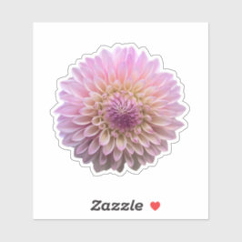Adesivo Coralie Dahlia Flower