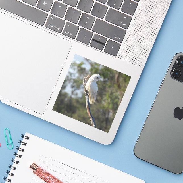 Adesivo Corella Bird (Notebook com iPhone)