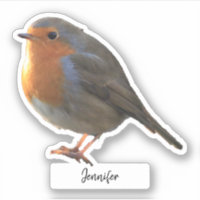 Corte personalizado personalizado de pássaro Robin
