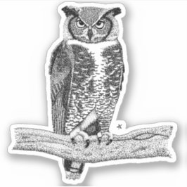 Adesivo Coruja Corada