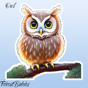 Adesivo Coruja 🦉 Pássaro Selvagem Esporal Cuta, Nature An