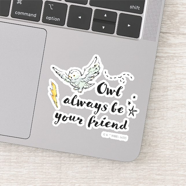 Adesivo Coruja Sempre Ser Seu Amigo (Detalhe)