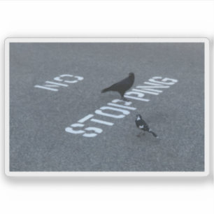 Adesivo Corvo e Maçã