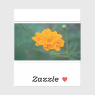 Adesivo Cosmo Enxofre 03