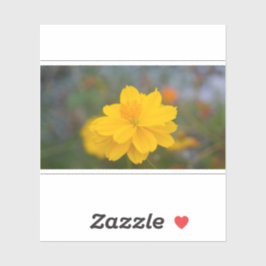 Adesivo Cosmos Sulfur 01