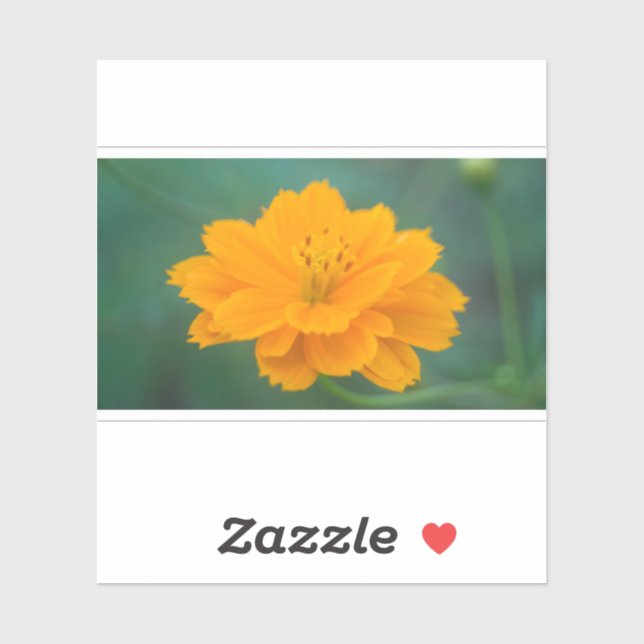 Adesivo Cosmos Sulfur 02 (Folha)