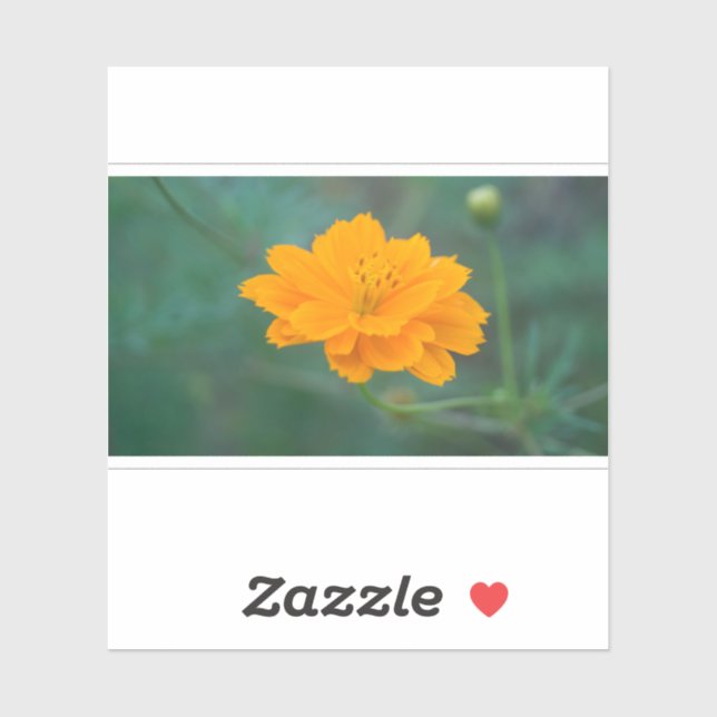 Adesivo Cosmos Sulfur 03 (Folha)