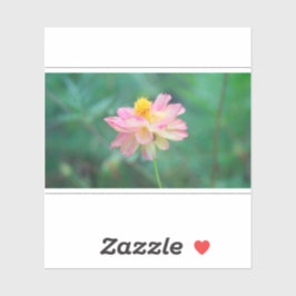 Adesivo Cosmos Sulfur 04