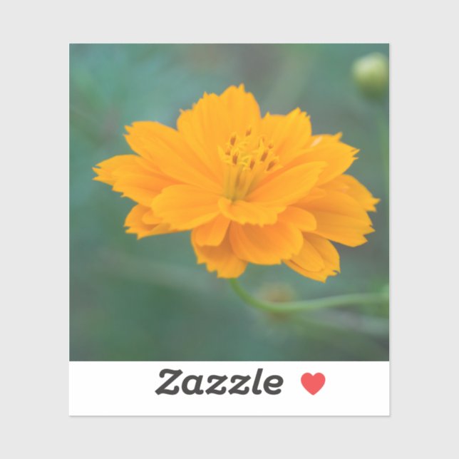 Adesivo Cosmos Sulfur 04 (Folha)