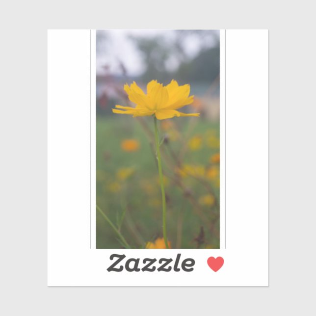 Adesivo Cosmos Sulfur 05 (Folha)