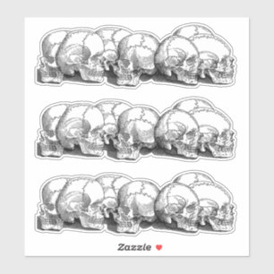 Adesivo + Crânios Vintage +