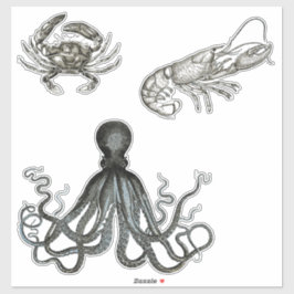 Adesivo Criações Marinhas - Vinhetas Transparentes