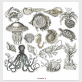 Adesivo Criações Marinhas - Vinhetas Transparentes