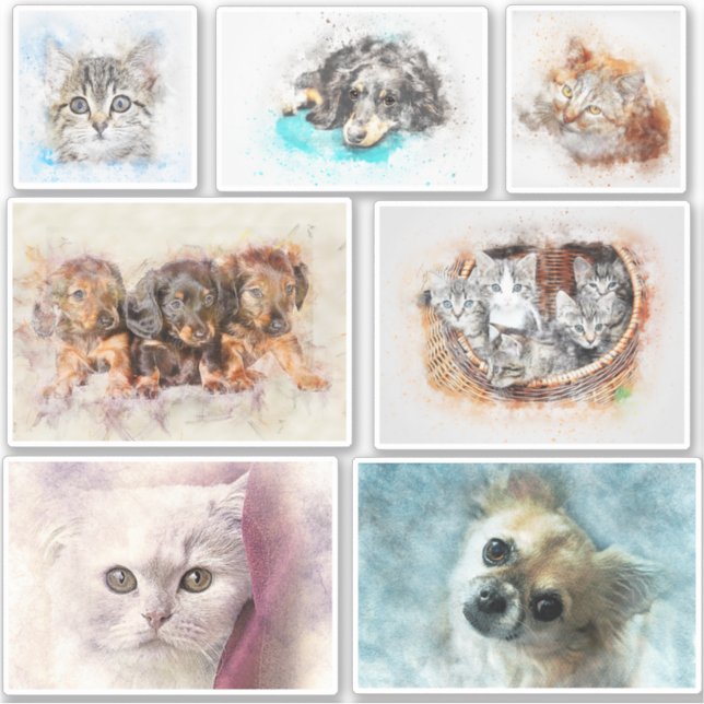 Adesivo Crie facilmente um perfil fotográfico de Pet (Frente)