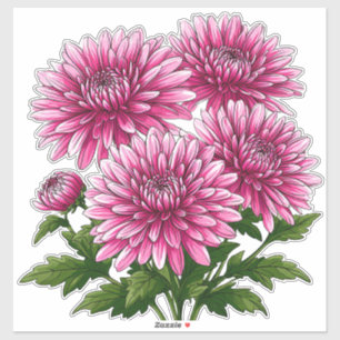 Adesivo Crisântemos Rosa Vibrante em Flor