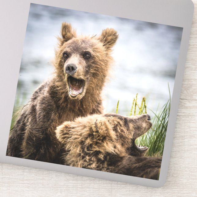 Adesivo Cubos Grizzly Procurando Sua Mãe (Detalhe)