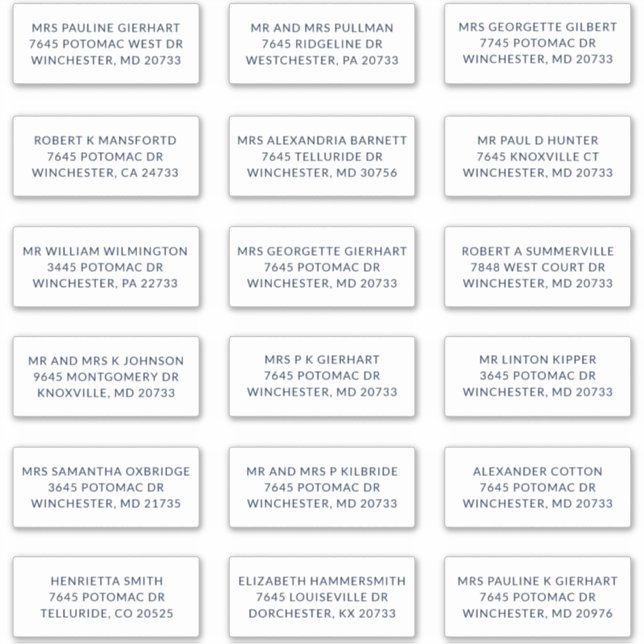 Adesivo Custom Name 18 Shipping Large Address Labels (Frente)