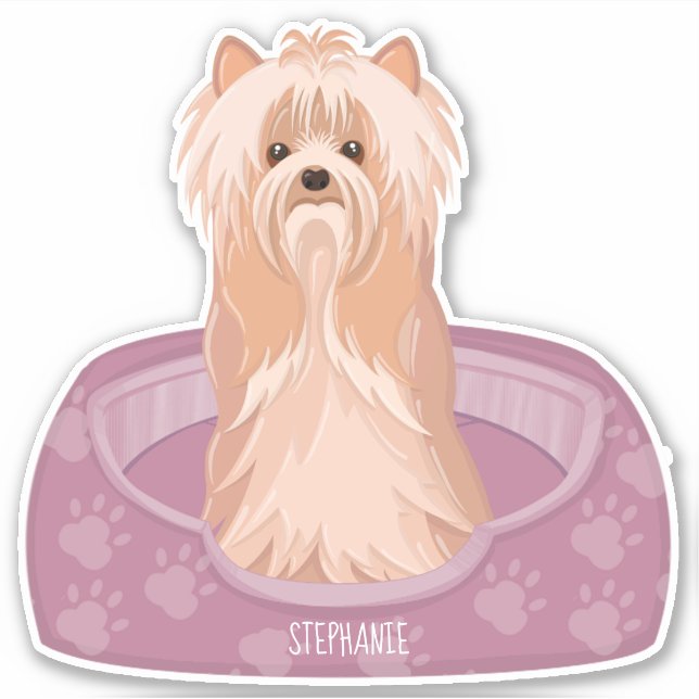 Adesivo Cute Yorkshire Terrier Birthday Sticker (Frente)