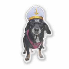 Adesivo Dachshund, Capitão do Mar