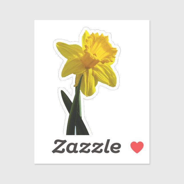 Adesivo Daffodil (Folha)