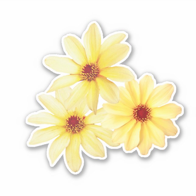 Adesivo Dahlia buquê de cor amarela (Frente)