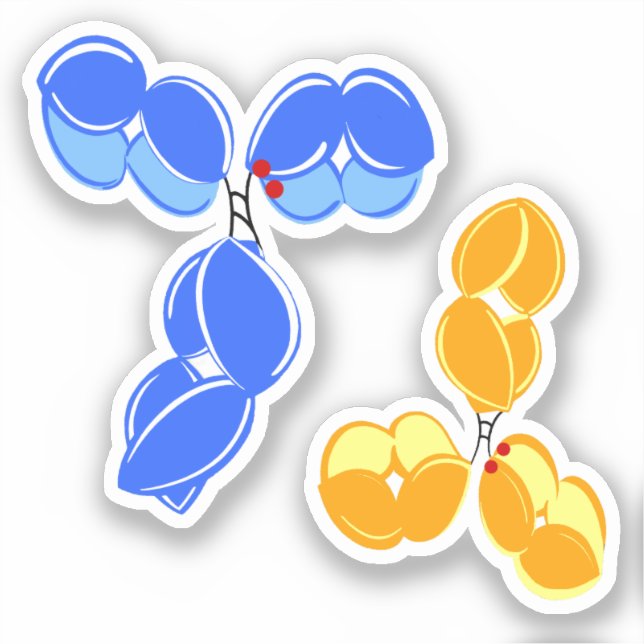 Adesivo DAR2, azul/amarelo, conjugado com o fármaco antico (Frente)