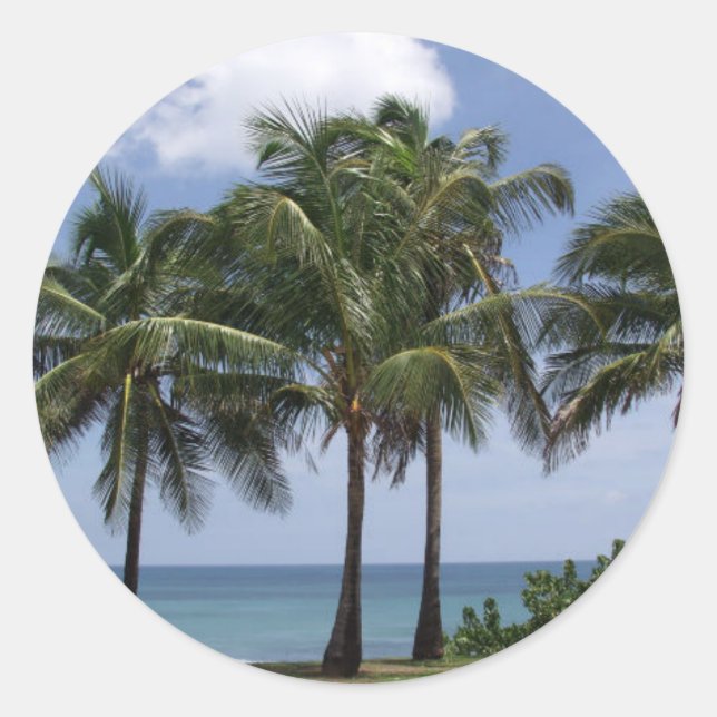 Adesivo das Palmeiras (Frente)