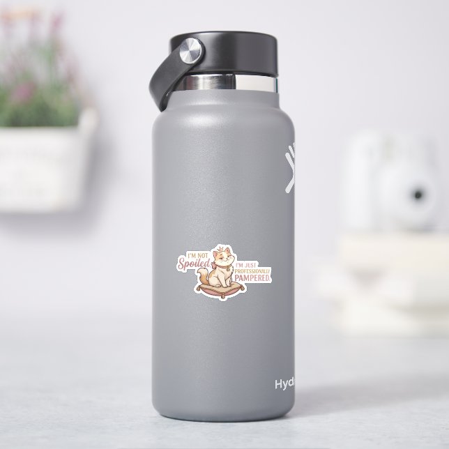 Adesivo de Almofada Real para Gato Mimado (HidroFlask)