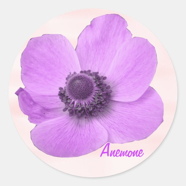 Adesivo de Anêmona Rosa e Girassol Personalizável (Frente)