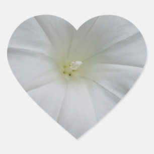 Adesivo de Coração de Flor Branco