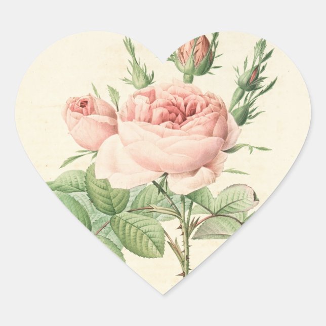Adesivo de Coração Rosa Vintage (Frente)