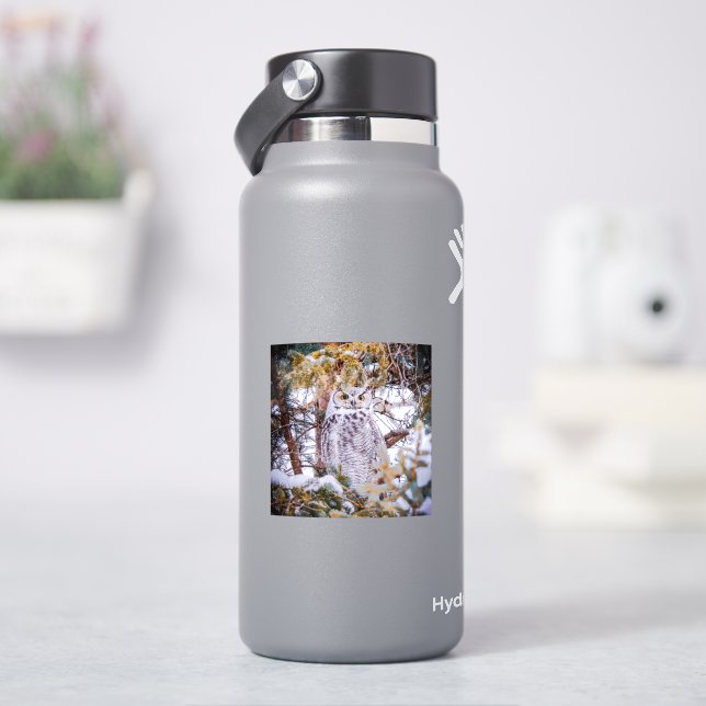 Adesivo de Coruja (HidroFlask)
