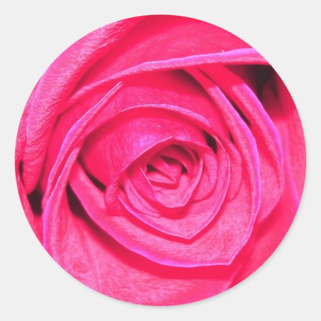 Adesivo de envelopes de pinos e pórticos (Frente)