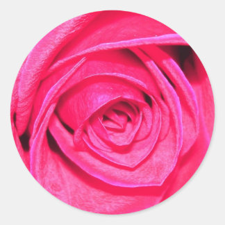 Adesivo de envelopes de pinos e pórticos