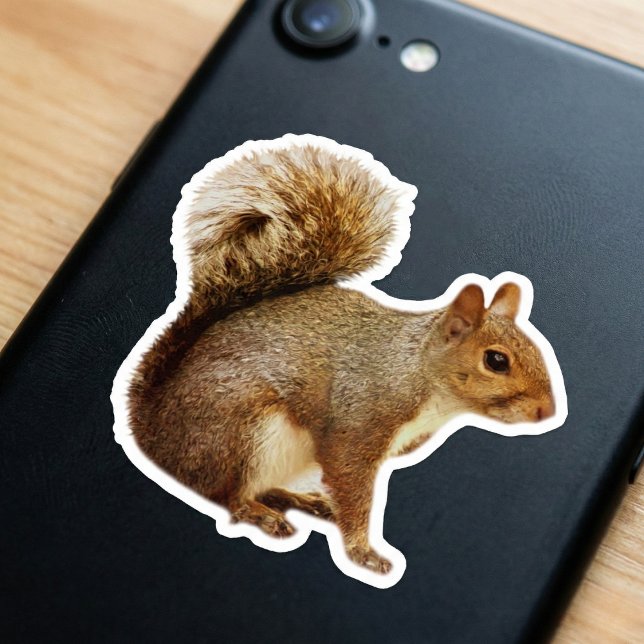 Adesivo de Esquilo de Cauda Fofa (Nature for your phone.)